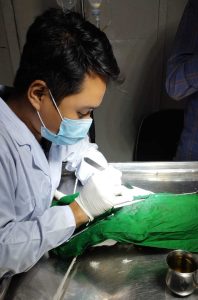 Mitech Tripura - prio pet clinic